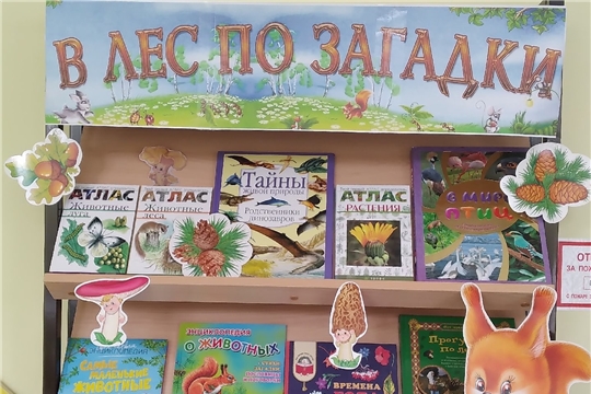 Книжная выставка-загадка «В лес по загадки» в отделе по работе с детьми