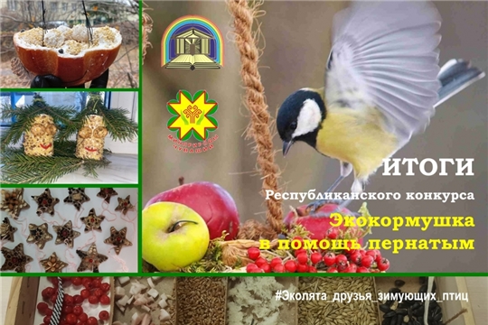 Итоги республиканского конкурса «Экокормушка в помощь пернатым»
