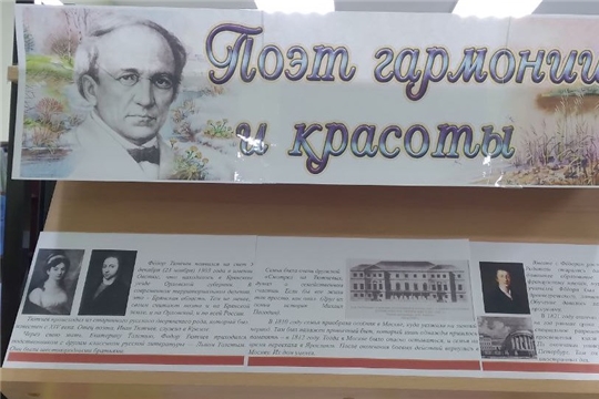 Выставка "Поэт гармонии и красоты" в отделе по работе с детьми