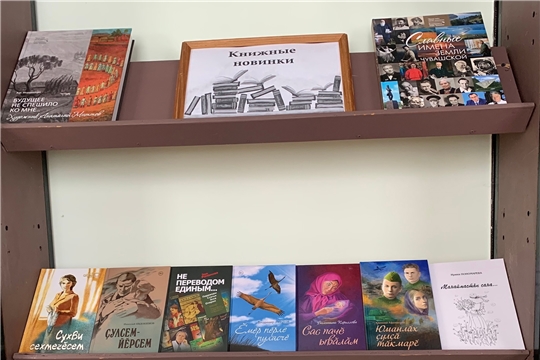 Выставка «Книжные новинки» в Большеатменской сельской библиотеке