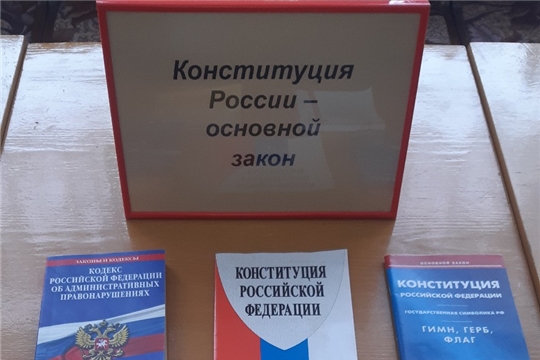 В Мочейской сельской библиотеке прошёл правовой информационный час