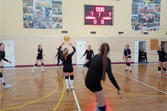 Кубок по волейболу среди женских команд