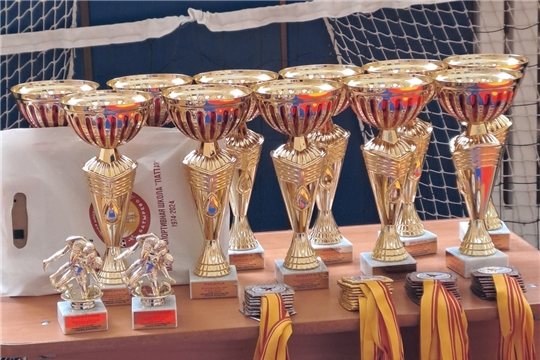 Республиканский турнир по спортивной борьбе