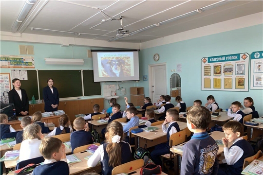 Обучающиеся школы № 47 г. Чебоксары провели экологический урок