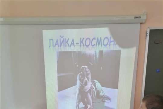 В Янтиковском округе прошло эко-занятие "В мире необычных животных"