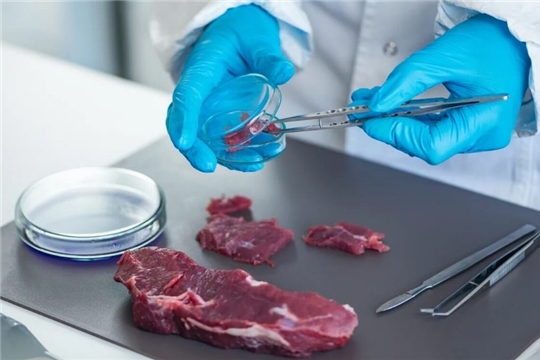 Качество мясной продукции