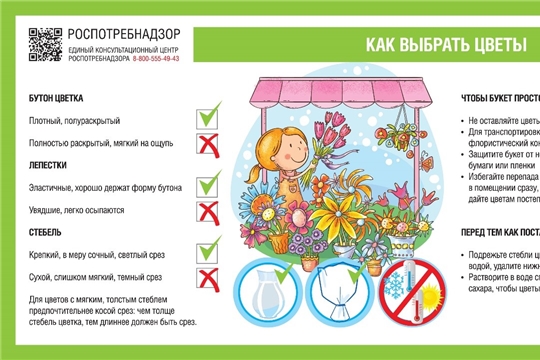 Рекомендации: Как выбрать живые цветы.