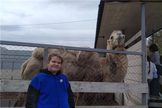 Самый активный путешественник Порецкого округа