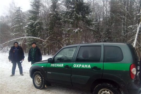 В Чувашии усилят патрулирование лесов