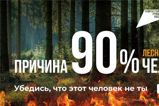Берегите лес