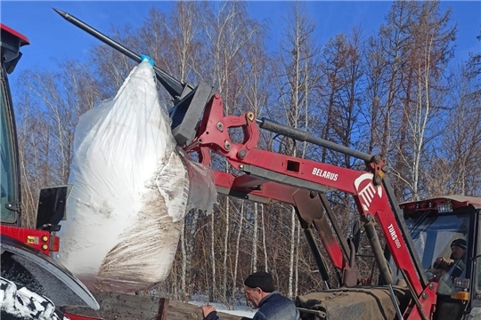 Сельхозпредприятия Чувашии приступили к подкормке озимых