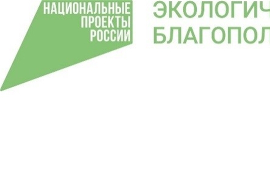 Для экологического благополучия: в России стартовала акция по сбору макулатуры «БумБатл»