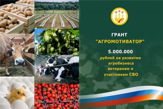 В Чувашии ветеранам и участникам СВО выделят до 5 миллионов на агробизнес
