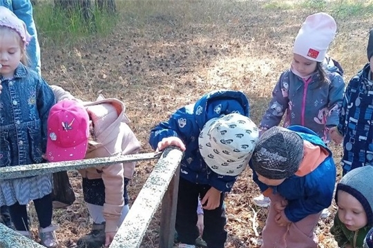 Знакомство с природой родного края.