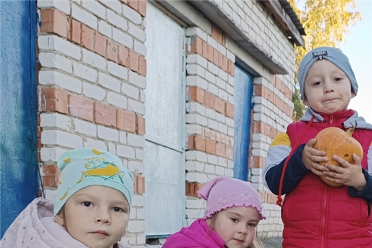 Урожай с нашего мини - огороде. 