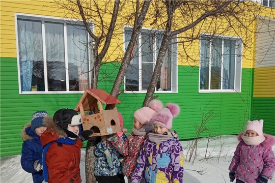 Юные эколята заботятся о пернатых зимой.