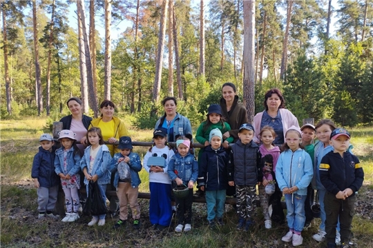 Экскурсия в ближайший лес.