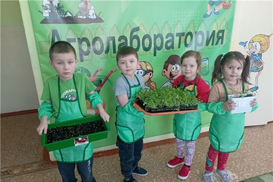 Работа в агролаборатории