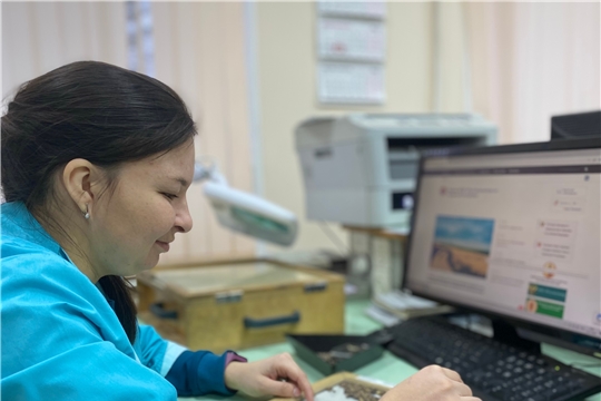 В Чувашии на 8% увеличилась доля кондиционных семян для весеннего сева