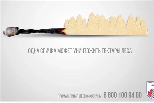 Стартовала ежегодная Федеральная информационная противопожарная кампания «Останови огонь!»