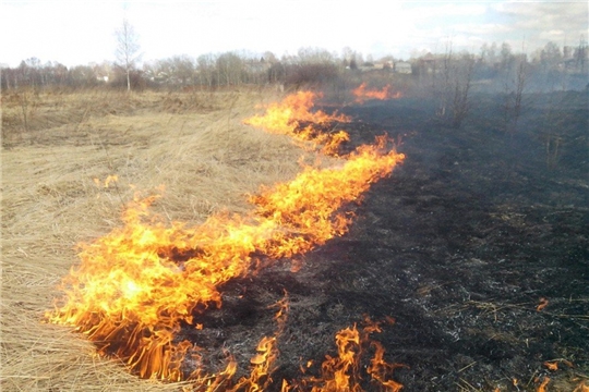 Типĕ курăка çунтарма юрамасть