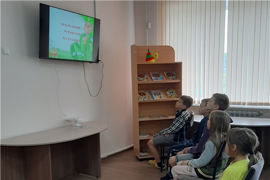 Экологический час «Красная книга Чувашской Республики»