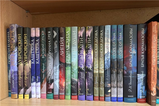 Новые книги в обновлённую библиотеку