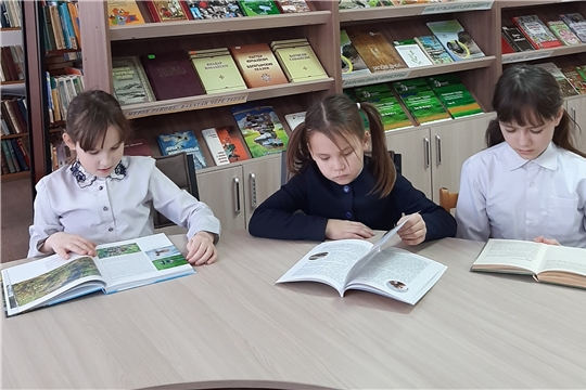 Экологический час «Стану я природе другом» в Нижнекумашкинской сельской библиотеке
