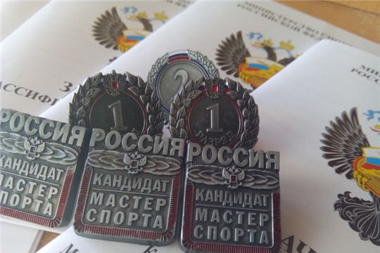 Обучающимся спортивной школы присвоены спортивные разряды
