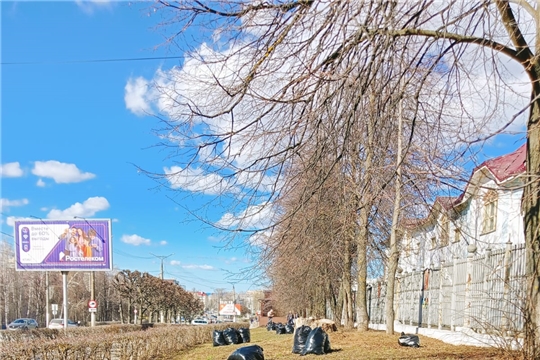 Стартовал ежегодный общегородской экологический субботник!