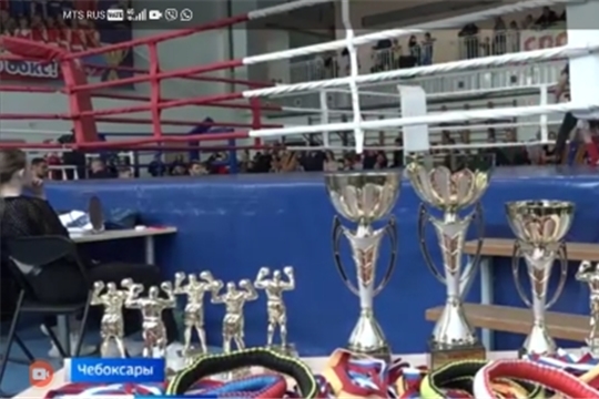 Открытый чемпионат и первенство Московского района г. Чебоксары по тайскому боксу 
