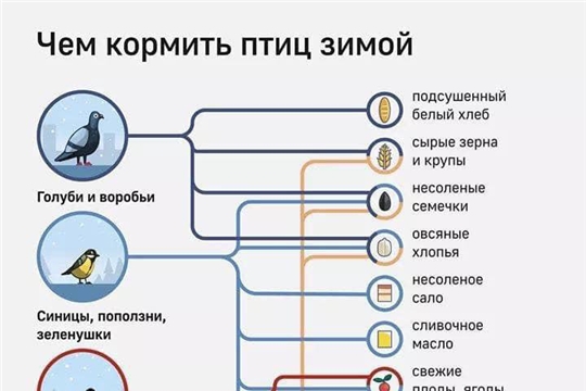 Госцентр по охране культурного наследия запускает акцию «Накормите птиц зимой»