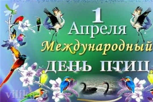 В Можарской библиотеке провели экологический час «Птички -  симпатички»