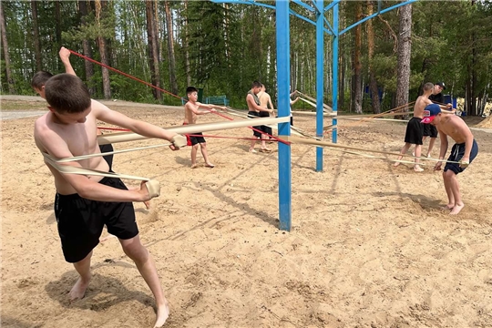 Дворовый тренер : самбо