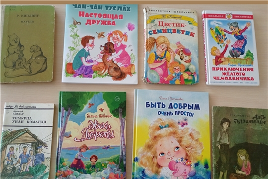 Час общения «Спешите делать добро» в Староахпердинской с/б