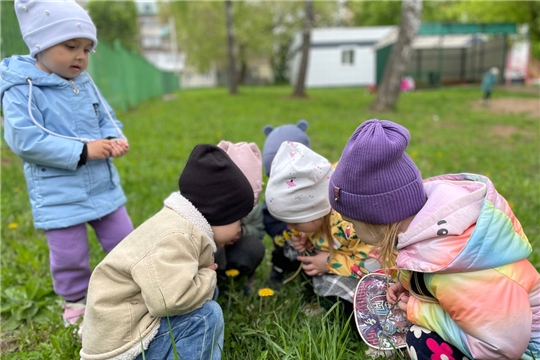 День одуванчика