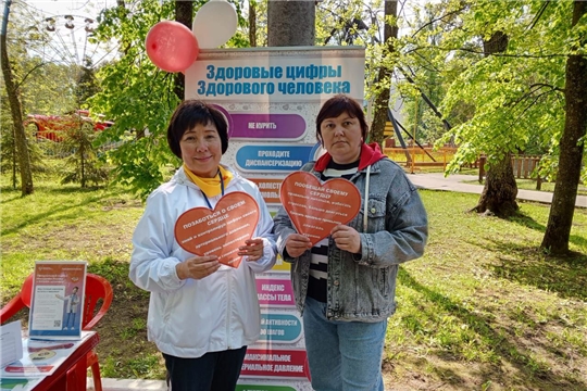 Сотрудники детского сада приняли участие в "Маршруте здоровья" проходимый в Лакреевском парке