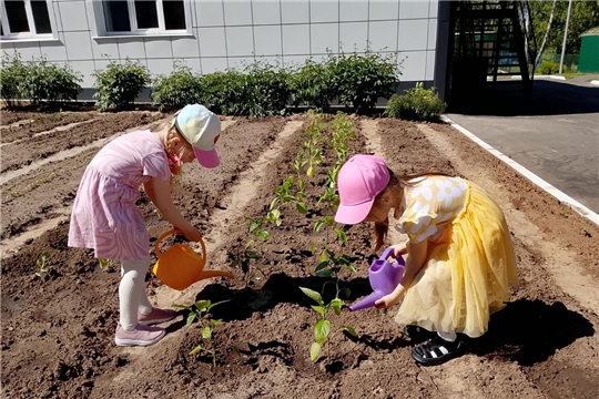 Работа с детьми в огороде