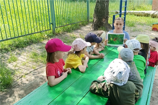 Осторожно, клещи!