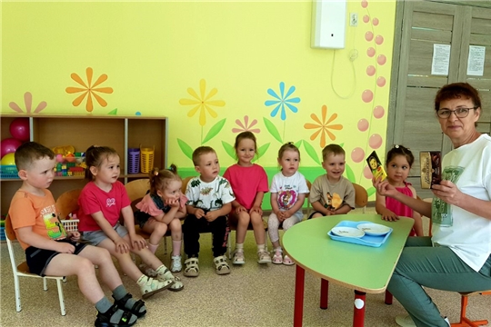 Шоколаду каждый рад