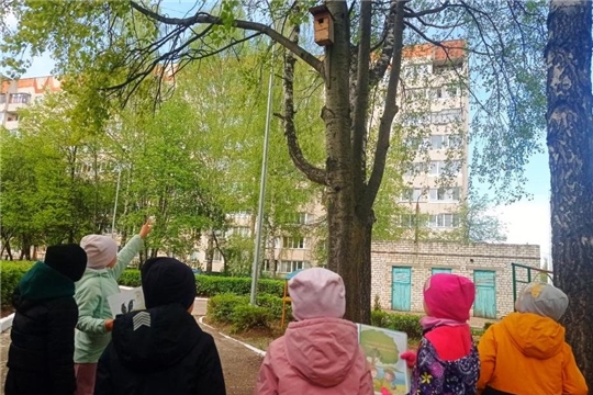  ТУРИСТиКо. Наблюдения за птицами