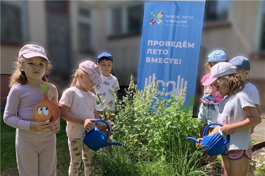ТУРИСТиКО выращивание зелёного лука