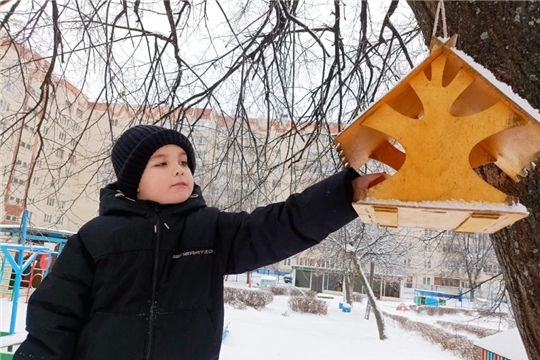 ТУРИСТиКо. Юный натуралист. Наблюдение за поведением птиц зимой