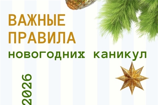 Важные правила новогодних каникул