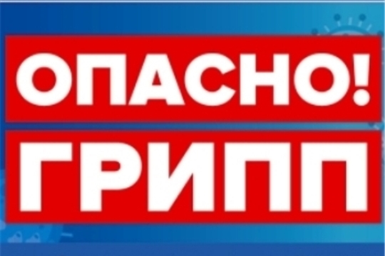 Информационные материалы по профилактике гриппа от Министерства здравоохранения Чувашской Республики 
