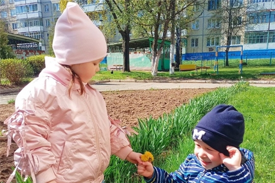 Наблюдение за одуванчиками