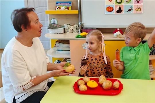 Царство овощей