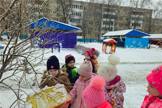 Забота о птицах зимой