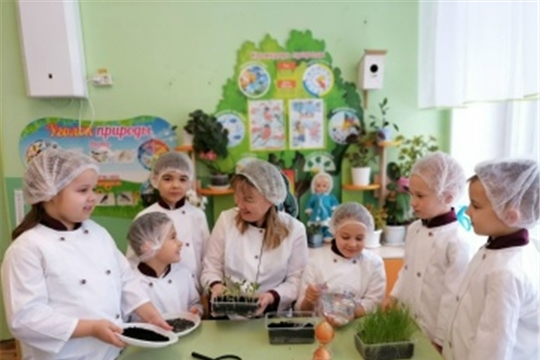 Первые шаги в агрономию.
