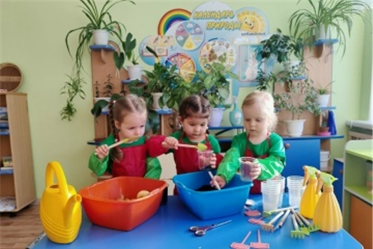 Огород на подоконнике -2026